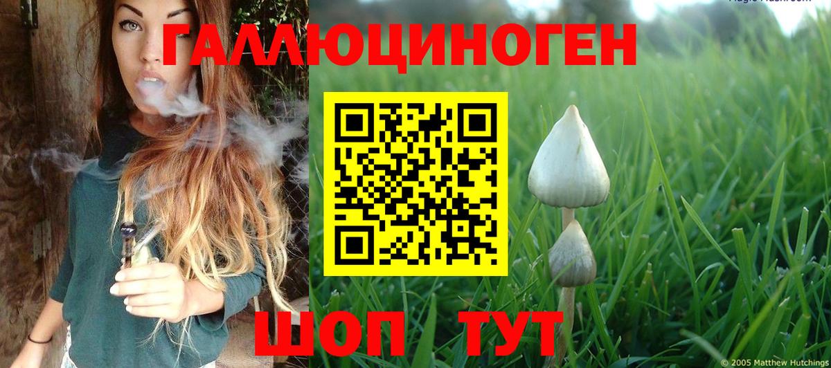 Псилоцибиновые грибы GOLDEN TEACHER Кубинка
